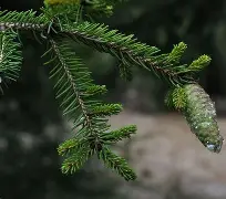 爱游戏-c1212是什么